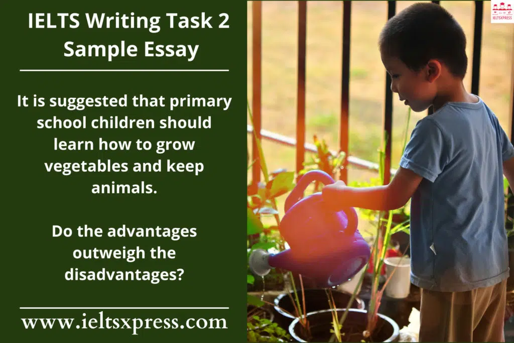 It Is Suggested That Primary School Children Should Learn How To Grow Vegetables And Keep Animals Ielts Essay Ieltsxpress