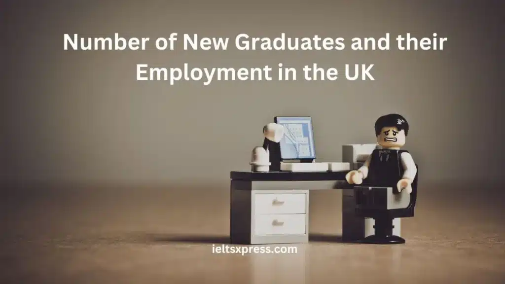 Number Of New Graduates And Their Employment In The Uk