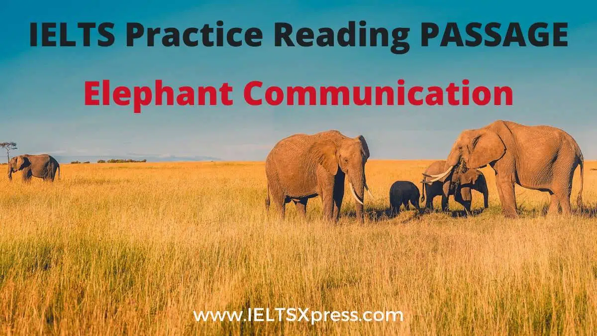 Elephant Communication Ielts Reading Passage Answers Ieltsxpress