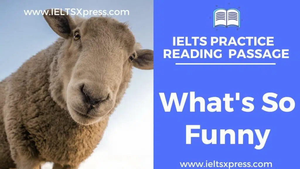 What'S So Funny Ielts Reading Passage With Answers