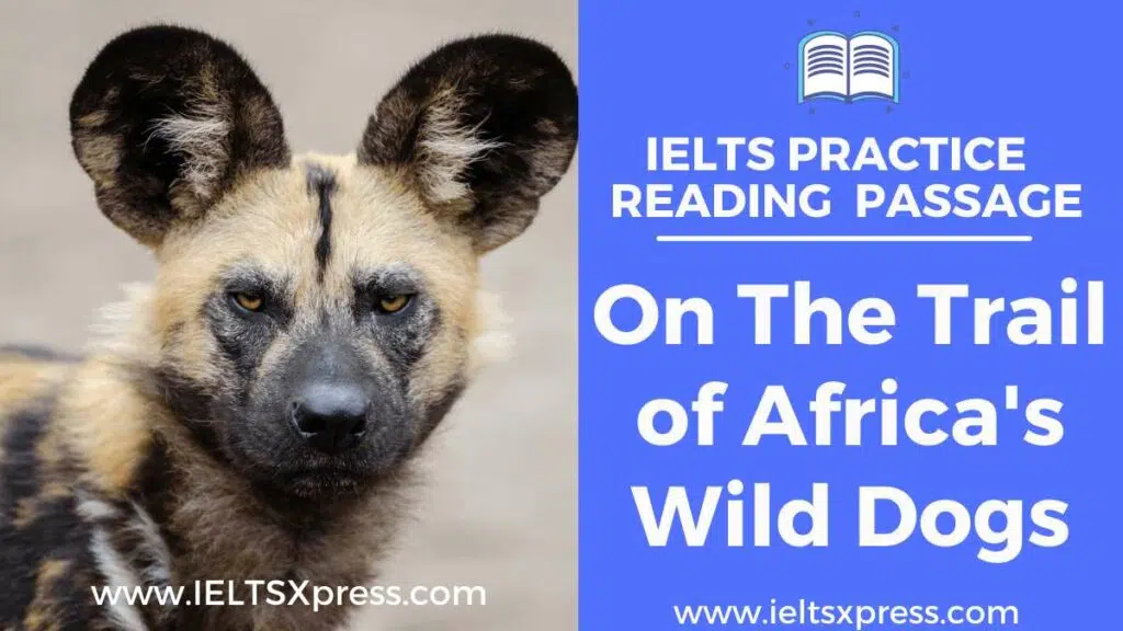 On The Trail Of Africa'S Wild Dogs Ielts Reading Passage Answers Ieltsxpress