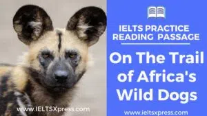 On The Trail of Africa's Wild Dogs ielts reading passage answers ieltsxpress