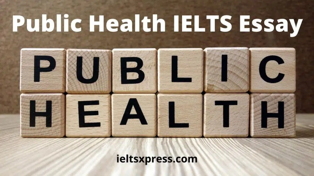 Public Health Is The Responsibility Of The Government Ielts Essay