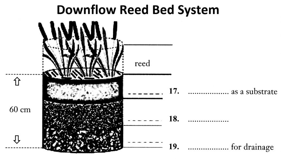 WATER TREATMENT: REED BEB ielts reading ieltsxpress