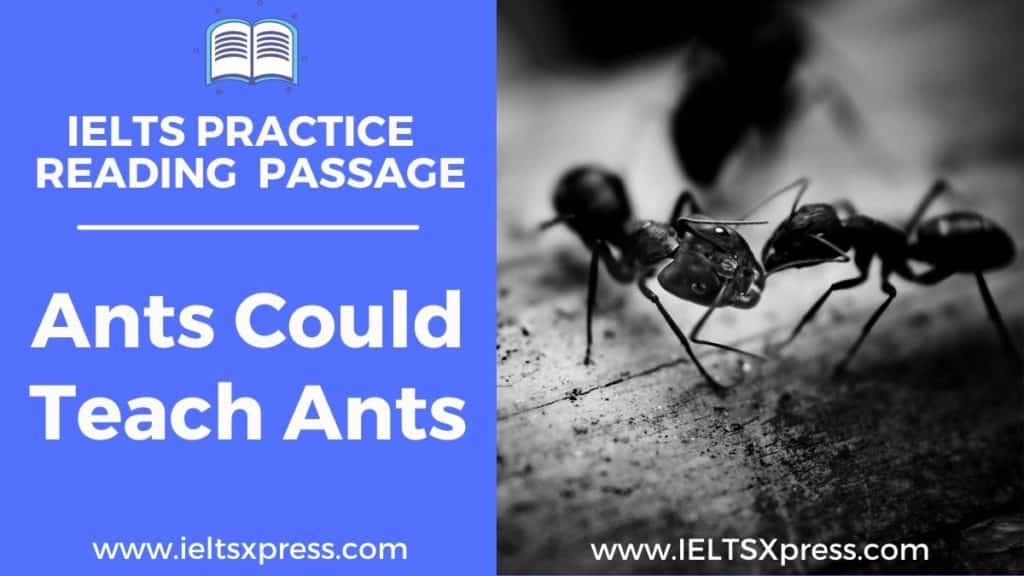 Ants Could Teach Ants ielts reading passage with answers