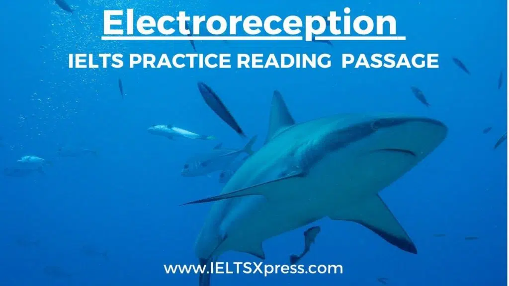 Electroreception Ielts Reading Passage With Answers