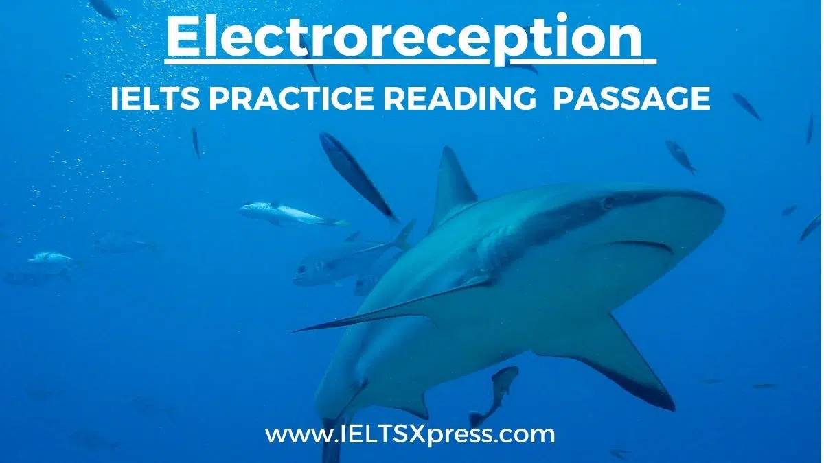 Electroreception Ielts Reading Passage With Answers