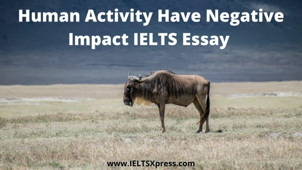 human activities has had a negative impact on animals and planets ielts essay