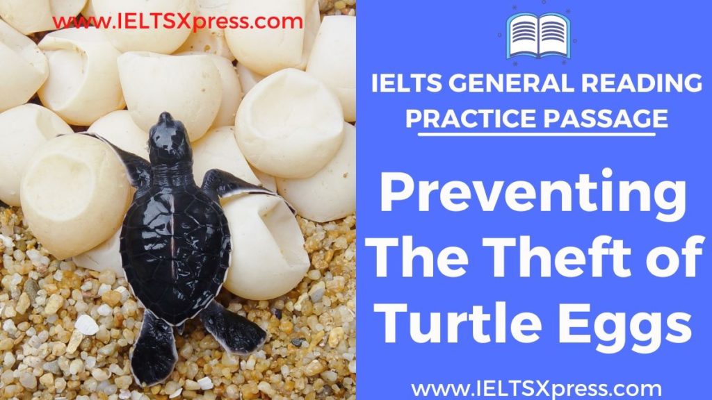 Preventing The Theft of Turtle Eggs ielts general reading