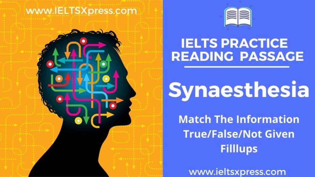 Synaesthesia ielts reading passage answers