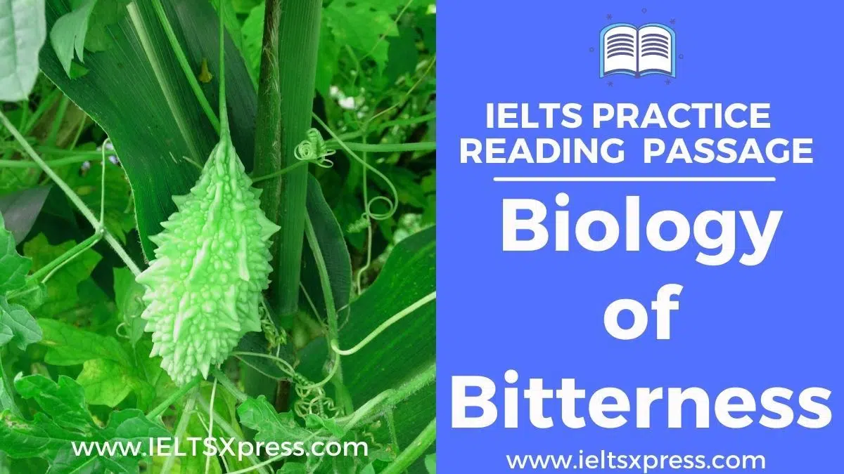 Biology Of Bitterness Ielts Reading Passage Answers Ieltsxpress