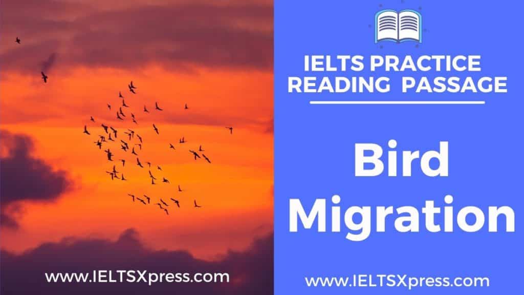 bird migration ielts reading passage answers