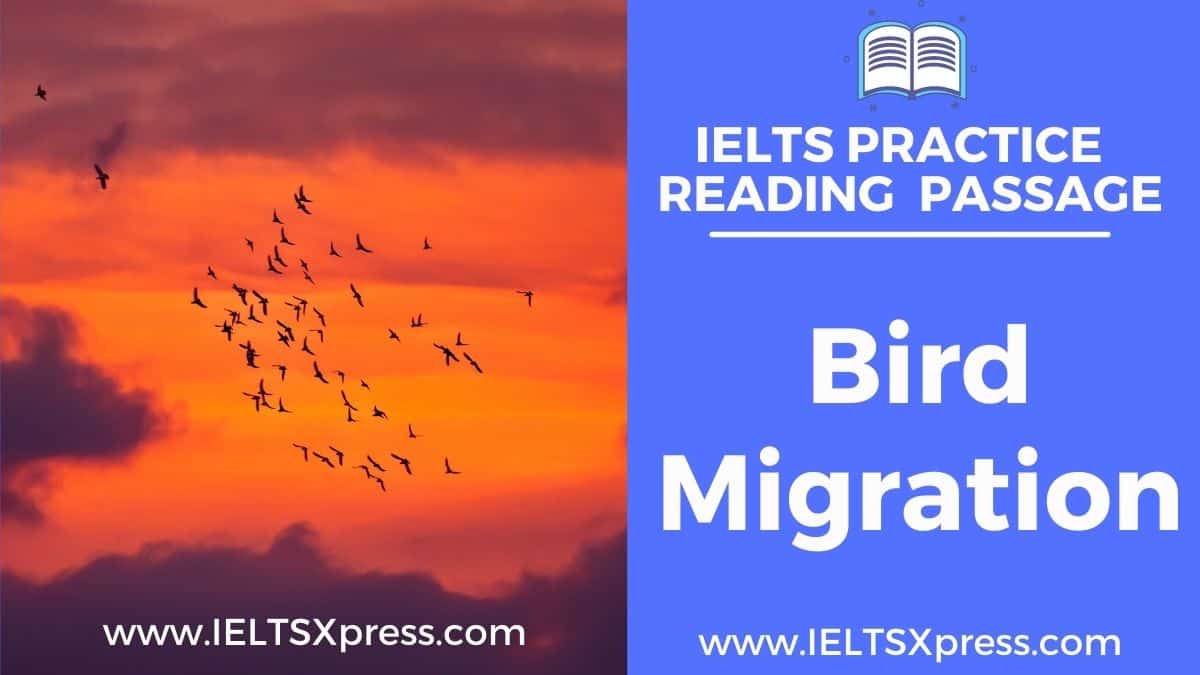bird migration ielts reading passage answers