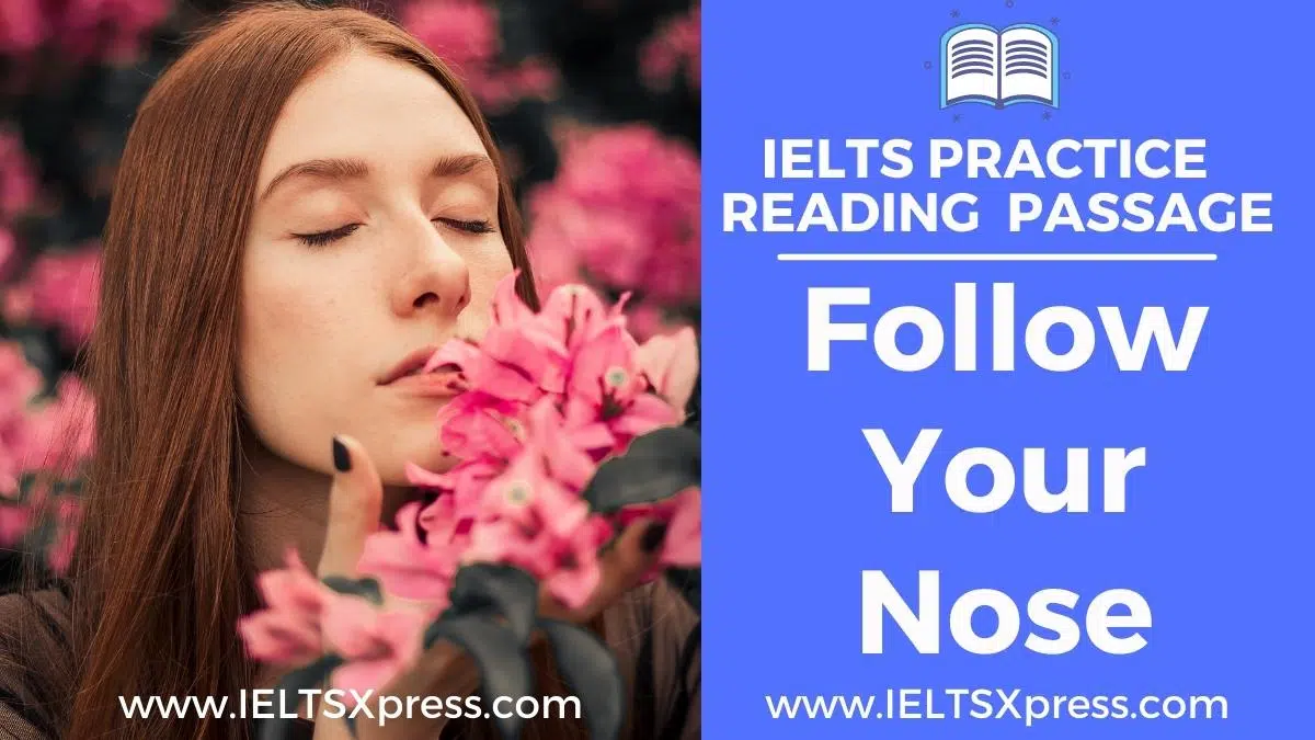 Follow Your Nose Ielts Reading Passage Answers