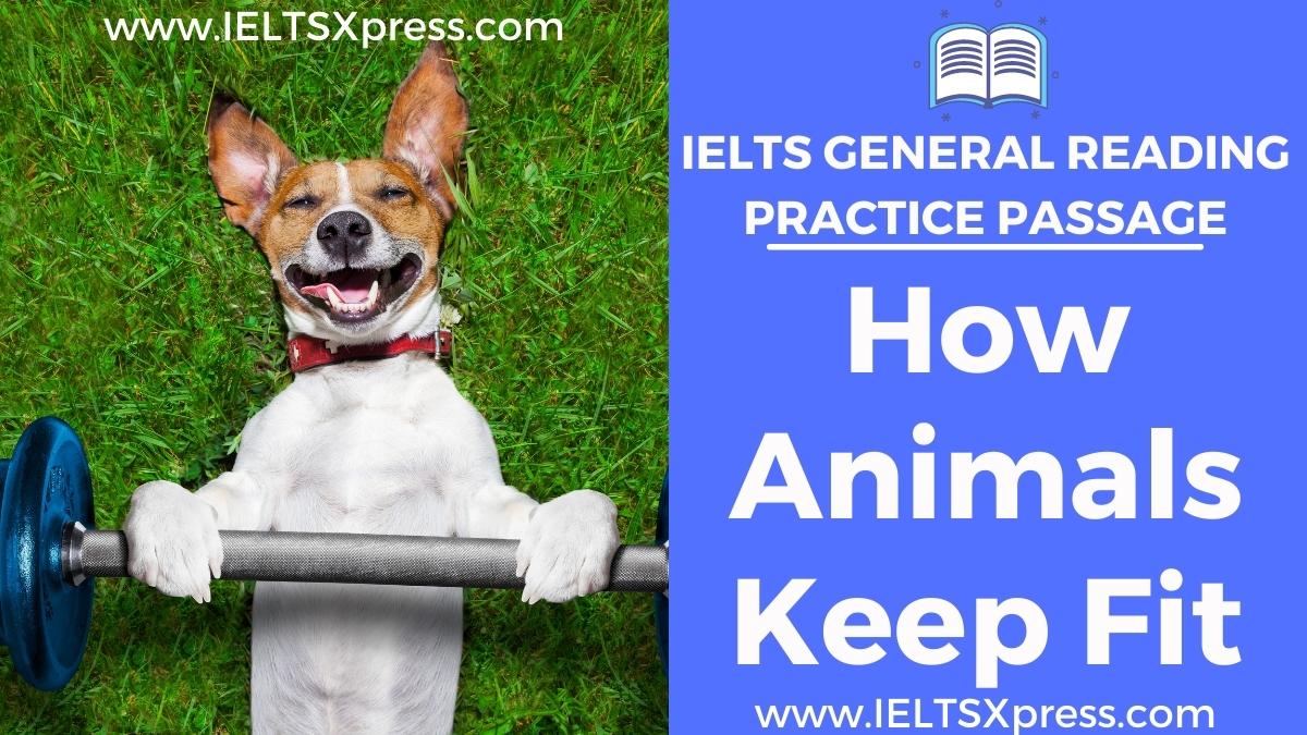 how animals keep fit ielts general reading answers