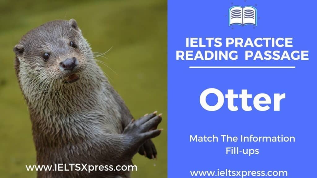 otter ielts reading passage answers ieltsxpress