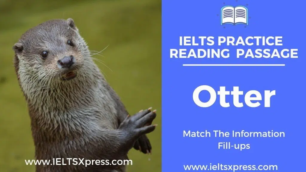 Otter Ielts Reading Passage Answers Ieltsxpress