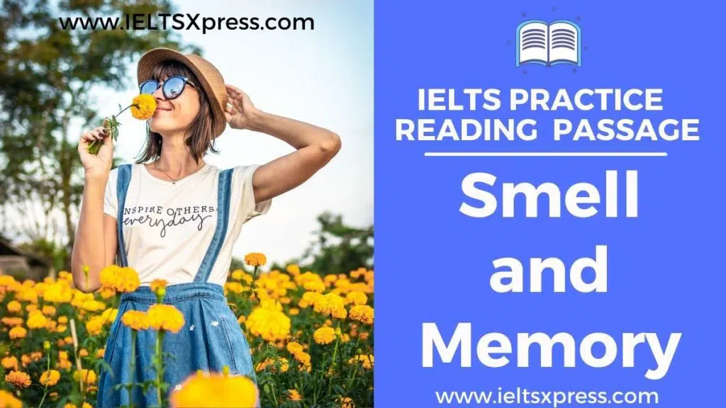 Smell And Memory Ielts Reading Passage Answers Ieltsxpress