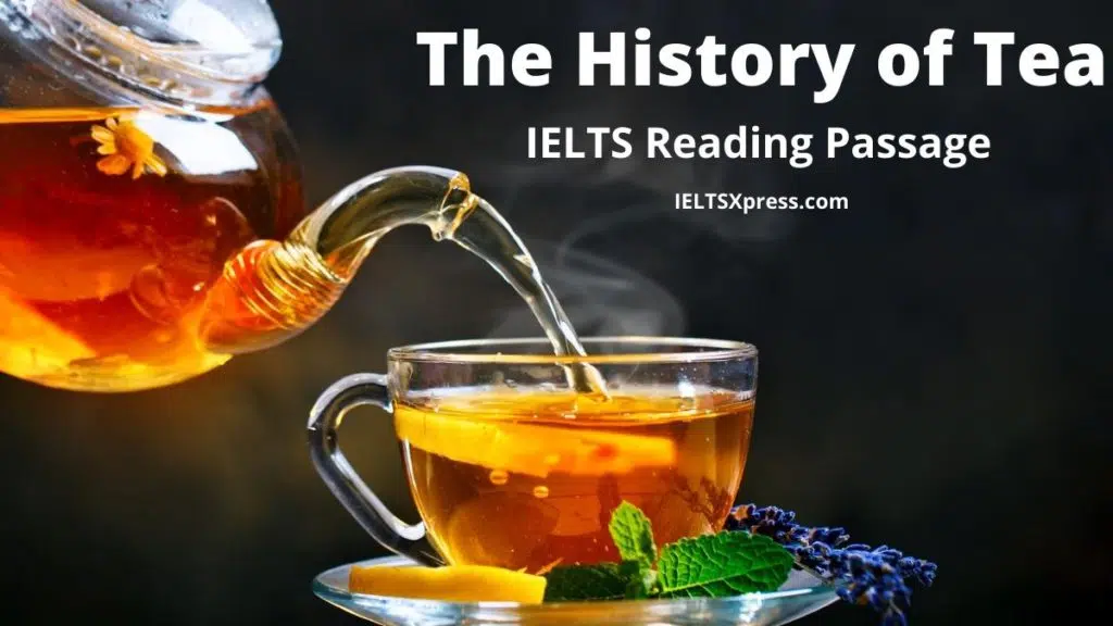 The History Of Tea Ielts Reading Answers