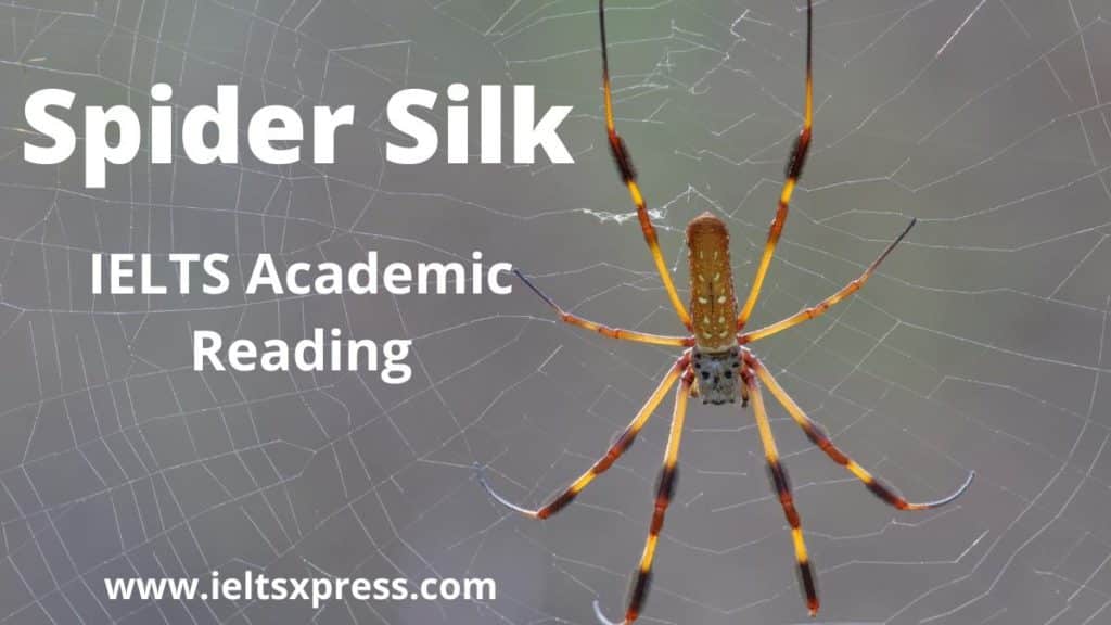 Spider Silk ielts reading answers