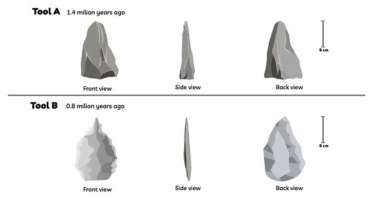 The Development Of Cutting Tools In The Stone Age