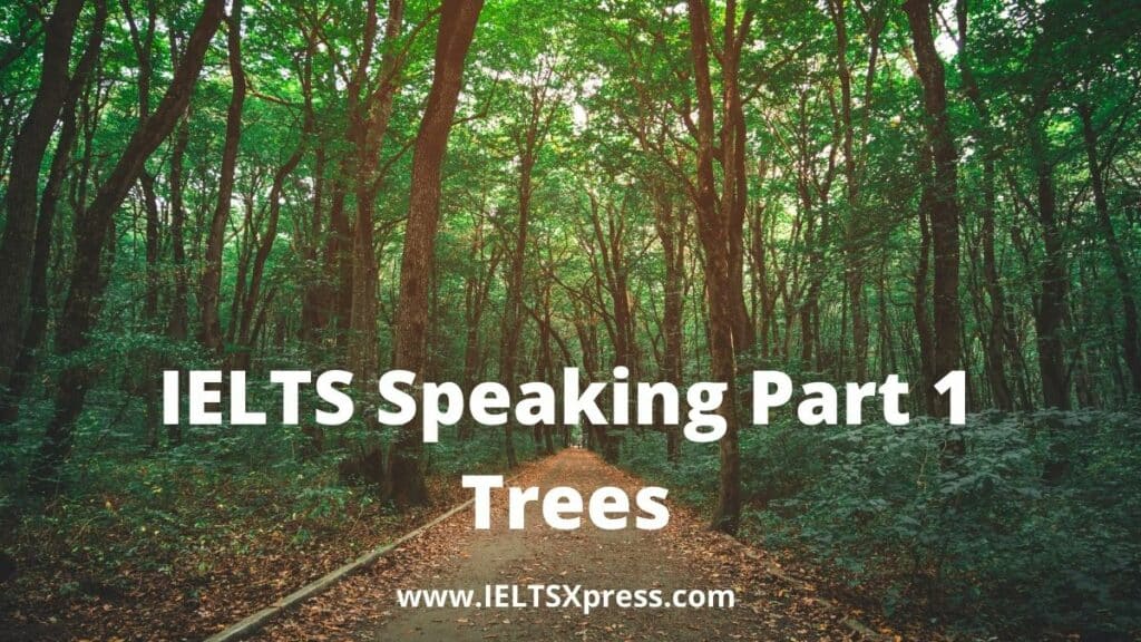IELTS Speaking Part 1 topic Trees ieltsxpress