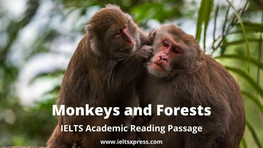 Monkeys and Forests ielts reading academic