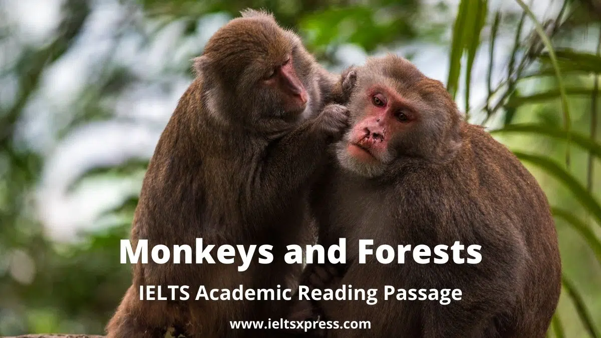 Monkeys And Forests Ielts Reading Academic