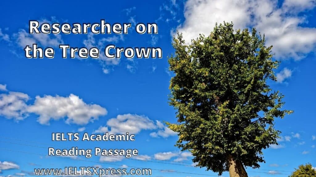 Researcher on the Tree Crown ielts reading ieltsxpress