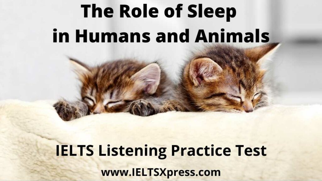 The Role of Sleep in Humans and Animals ielts lsitening