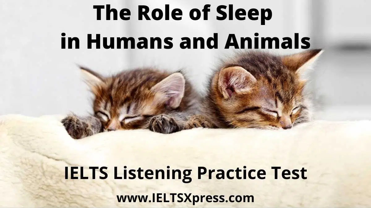 The Role Of Sleep In Humans And Animals Ielts Lsitening