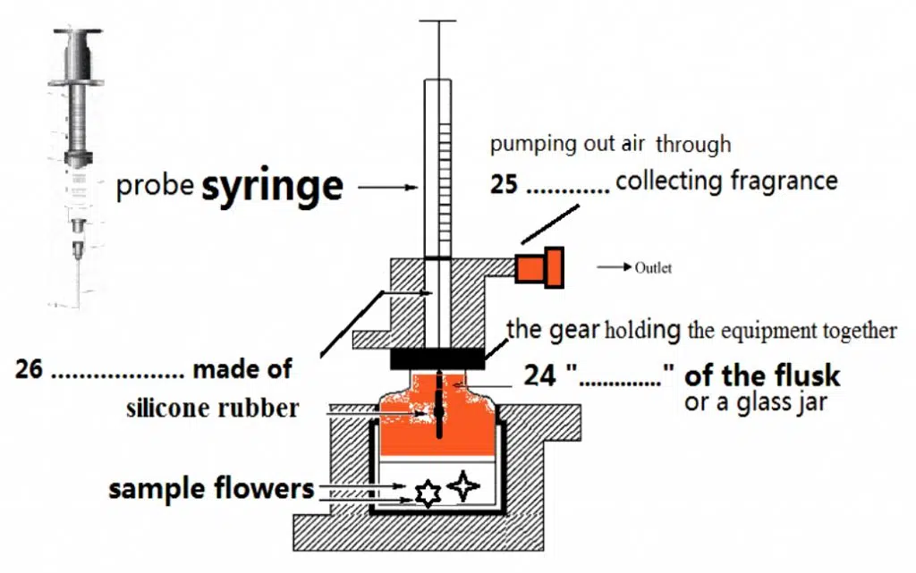 A Simple Device Used To Trap Molecules Hunting Perfumes In Madagascar Ieltsxpress