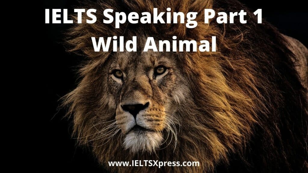 IELTS Speaking Part 1 topic wild animals ieltsxpress