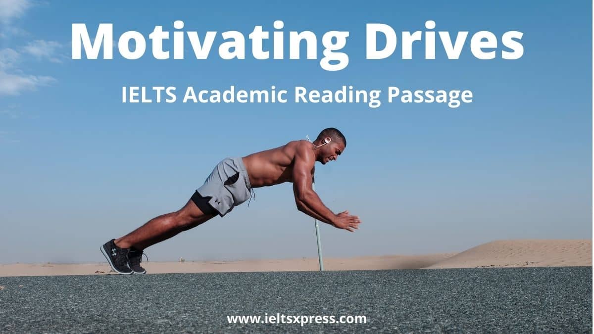 Motivating Drives ielts reading passage answers