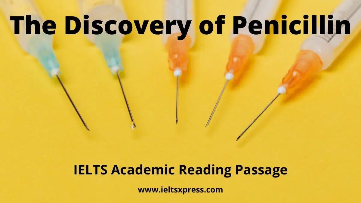 The Discovery Of Penicillin Ielts Reading Academic