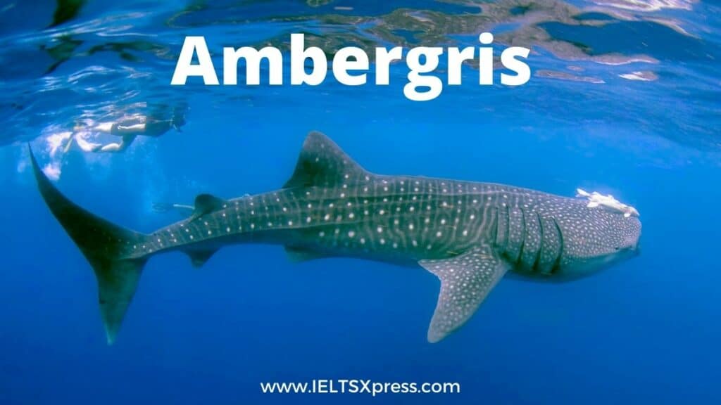 Ambergris ielts reading academic with answers