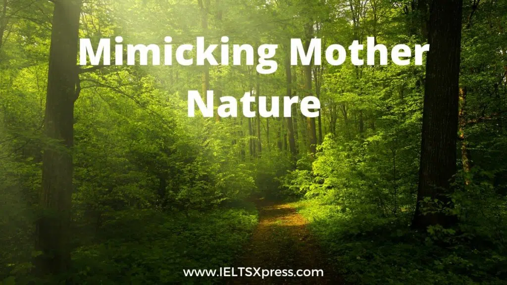 Mimicking Mother Nature Ielts Reading Academic Ieltsxpress