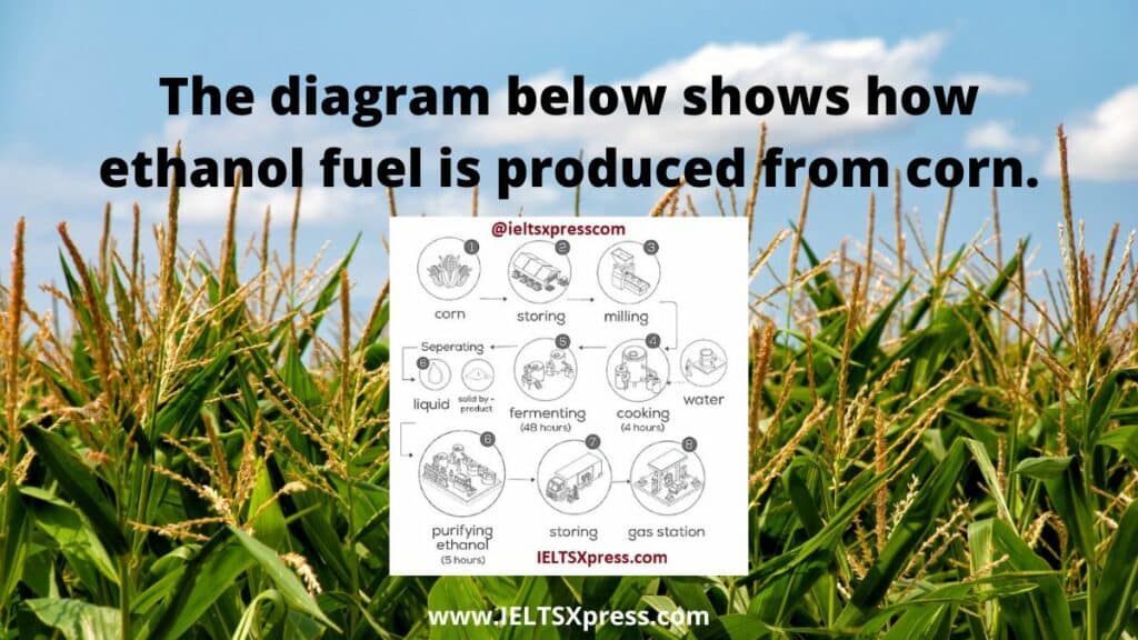 The diagram below shows how ethanol fuel is produced from corn