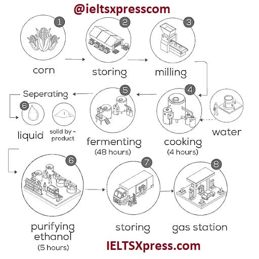 The diagram below shows how ethanol fuel is produced from corn