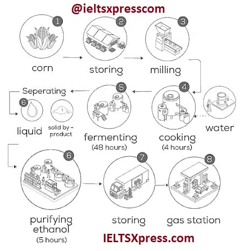 The Diagram Below Shows How Ethanol Fuel Is Produced From Corn