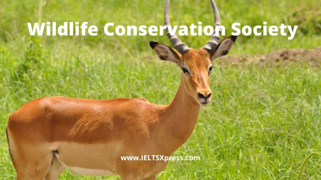 wildlife conservation society ielts listening