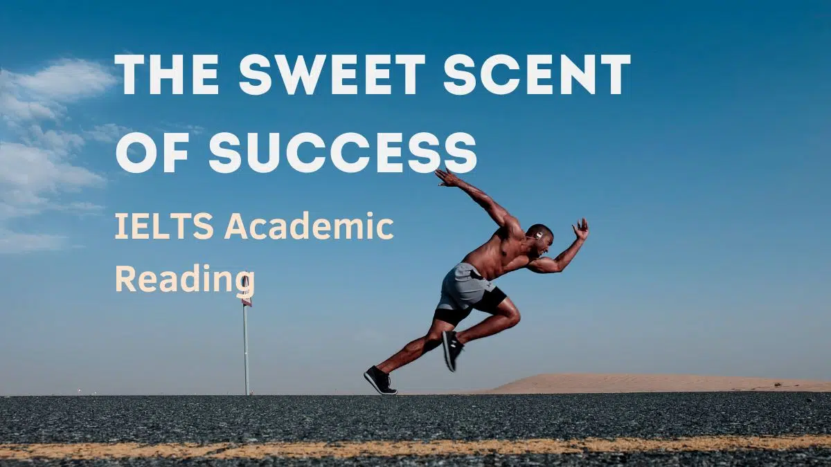 The Sweet Scent Of Success Ielts Reading Ieltsxpress