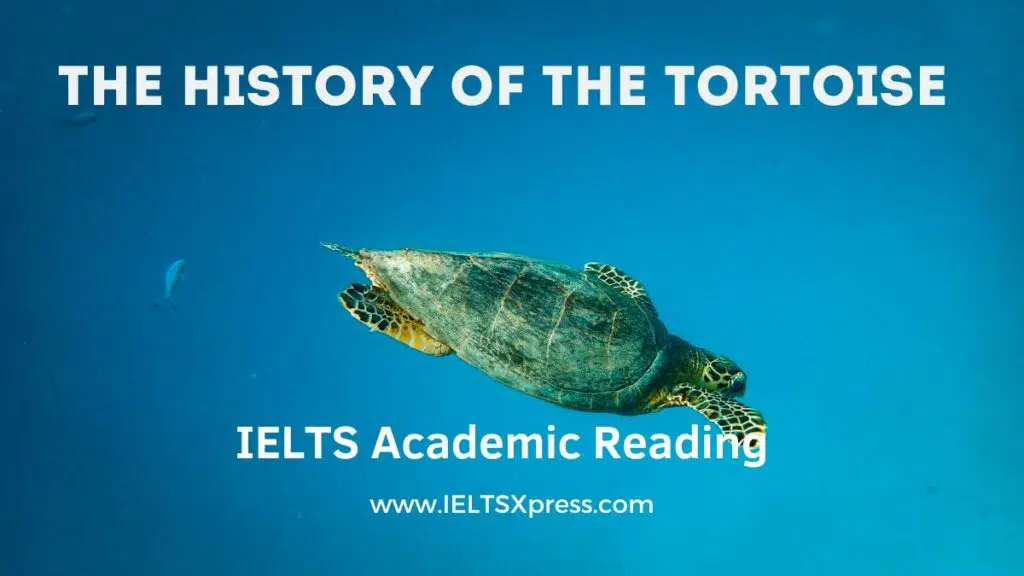 The History Of The Tortoise Ielts Reading