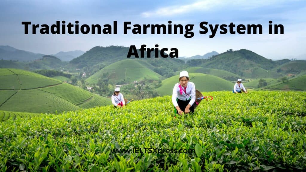 Traditional Farming System in Africa ielts reading academic ieltsxpress