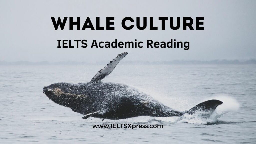Whale Culture ielts reading academic with answers
