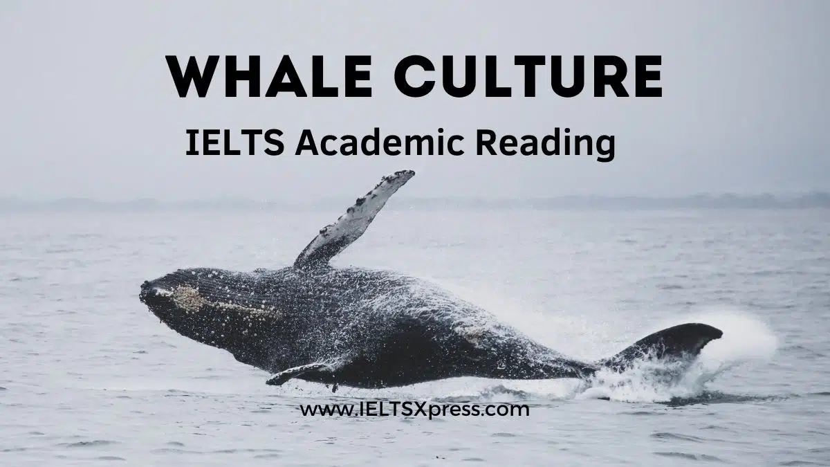 Whale Culture Ielts Reading Academic With Answers