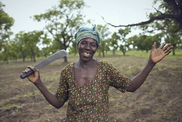 Traditional Farming System In Africa Ielts Reading