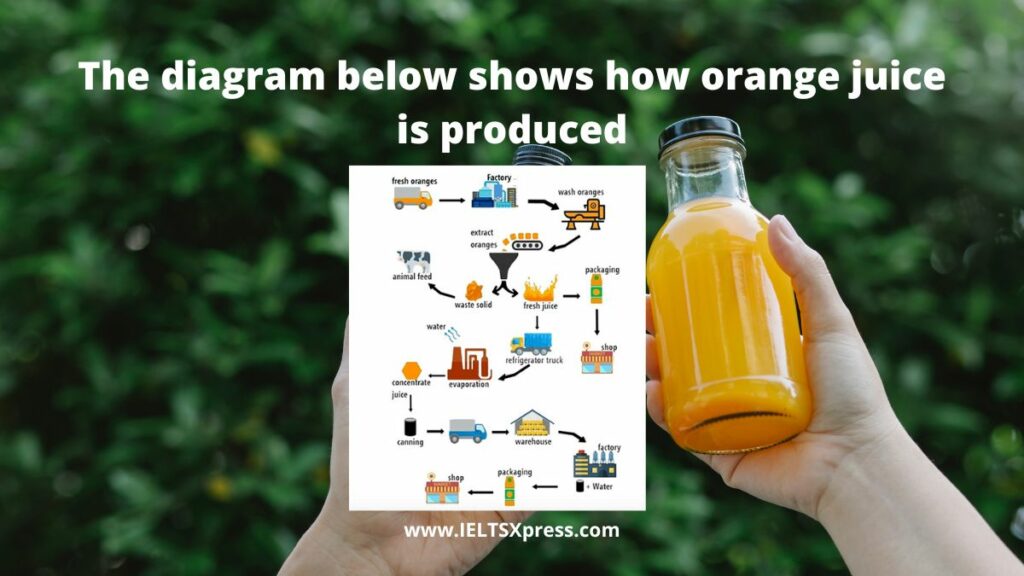 The Diagram shows How Orange Juice is Produced - Process