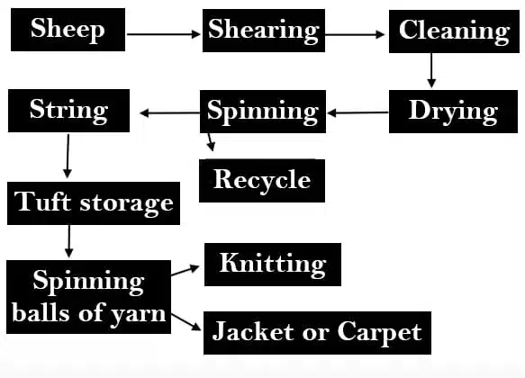 How Wool Is Produced For Personal And Industrial Use