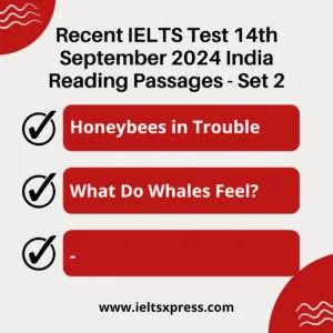 Recent IELTS Exam 14 september 2024 India reading